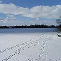 Widok na jezioro zimą
