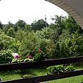 Widok na ogród z tarasu